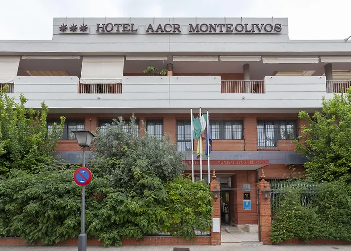 Aacr Hotel Monteolivos Seville