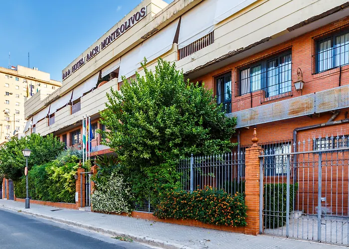 Aacr Hotel Monteolivos Seville